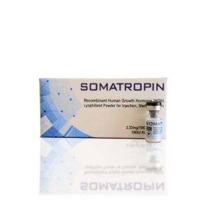 HGH Somatropin Powder 100 IU Hilma Biocare Foto der Verpackung